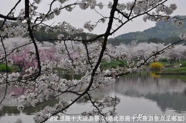 湖北恩施十大旅游景点(湖北恩施十大旅游景点是哪里)