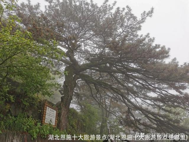 湖北恩施十大旅游景点(湖北恩施十大旅游景点是哪里)