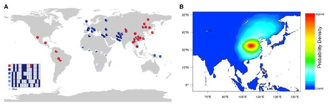 内衣75a和75b谁大(34的内衣是75A还是75B)