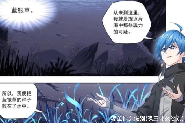 魂圣什么级别(魂王什么级别)