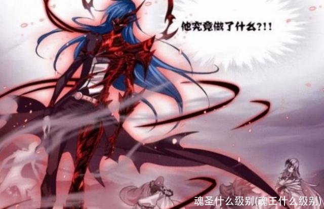 魂圣什么级别(魂王什么级别)