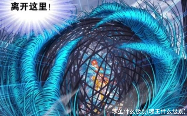 魂圣什么级别(魂王什么级别)