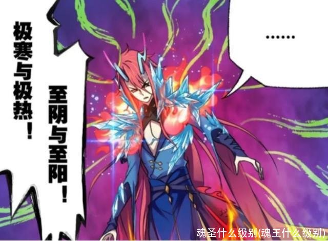 魂圣什么级别(魂王什么级别)