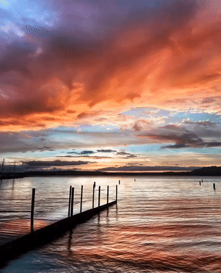 怎么让照片动起来(如何让照片动起来)