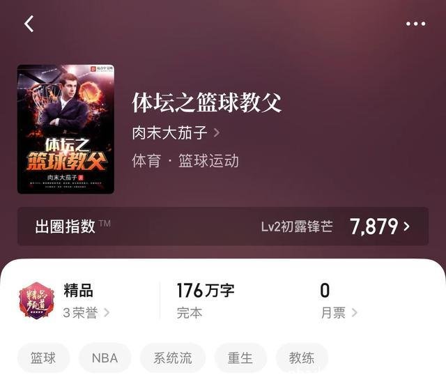 nba小说(nba小说完结榜)