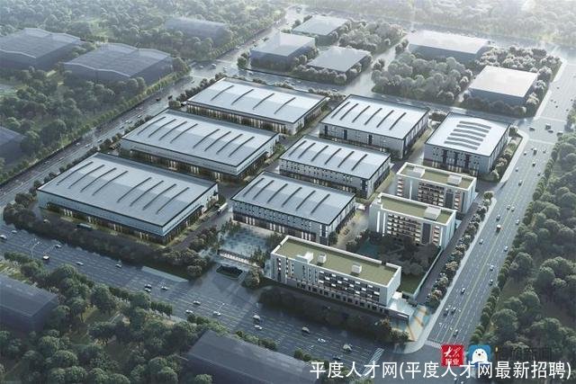 平度人才网(平度人才网最新招聘)