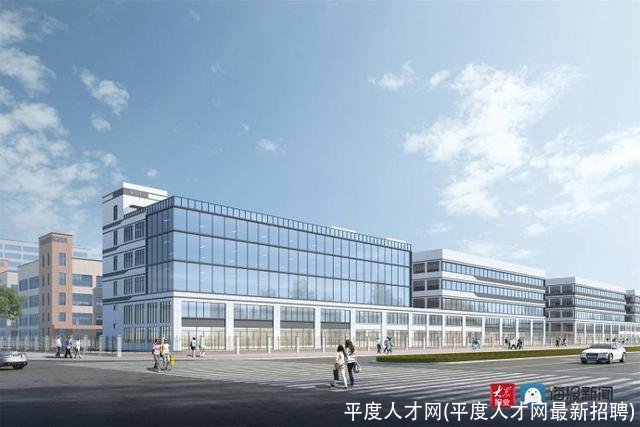 平度人才网(平度人才网最新招聘)