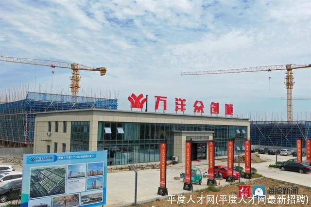 平度人才网(平度人才网最新招聘)