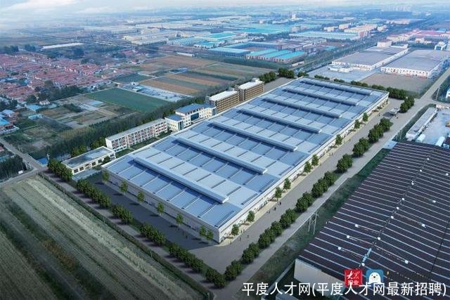 平度人才网(平度人才网最新招聘)