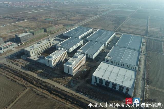 平度人才网(平度人才网最新招聘)