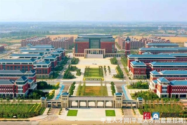 平度人才网(平度人才网最新招聘)