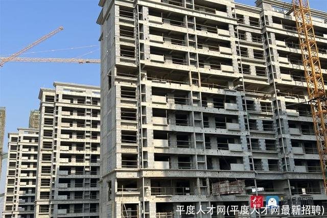 平度人才网(平度人才网最新招聘)