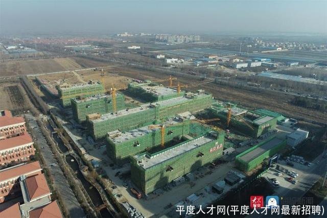 平度人才网(平度人才网最新招聘)