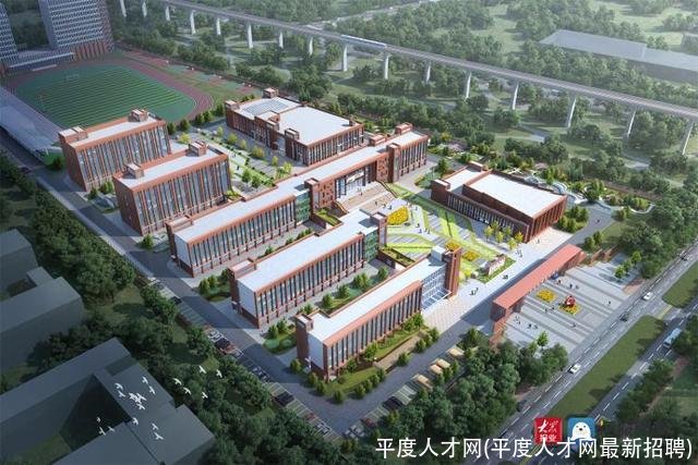 平度人才网(平度人才网最新招聘)