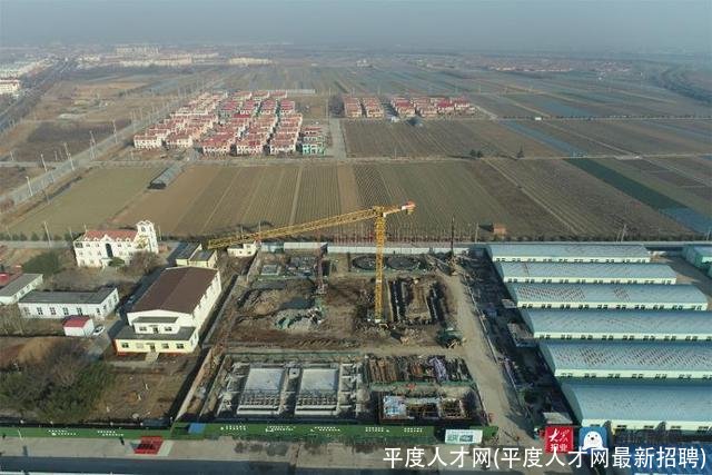 平度人才网(平度人才网最新招聘)