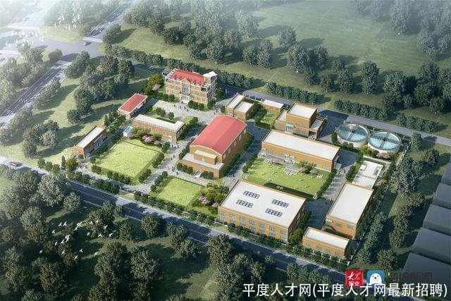 平度人才网(平度人才网最新招聘)