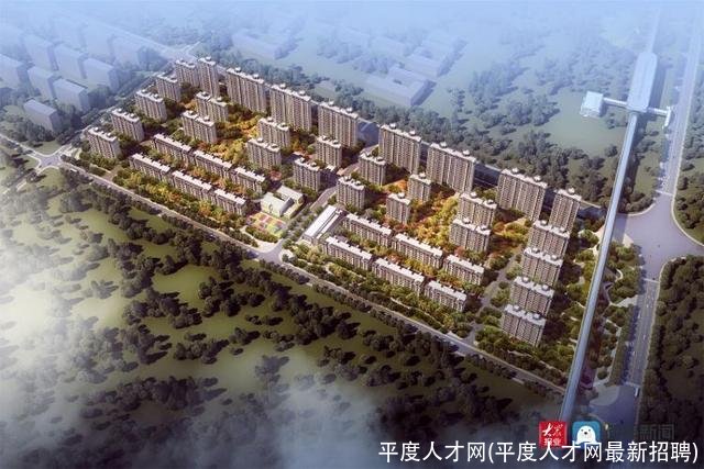 平度人才网(平度人才网最新招聘)