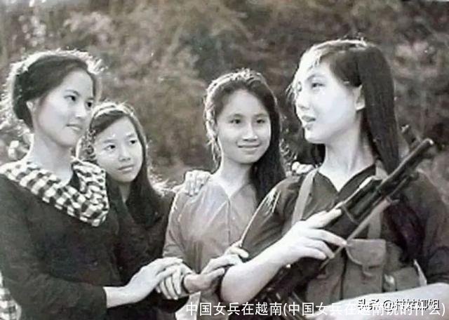 中国女兵在越南(中国女兵在越南说的什么)