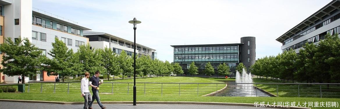 华威人才网(华威人才网重庆招聘)