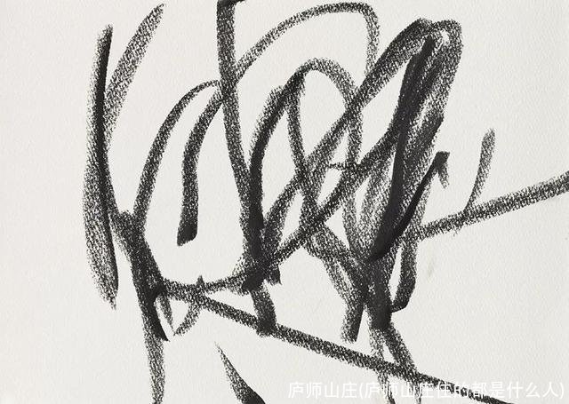 庐师山庄(庐师山庄住的都是什么人)