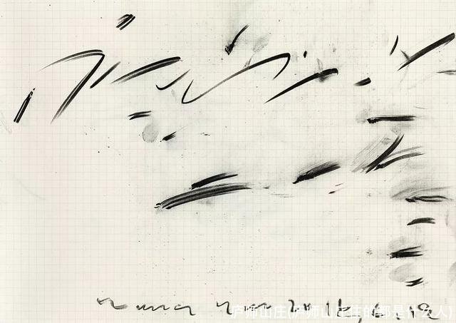 庐师山庄(庐师山庄住的都是什么人)