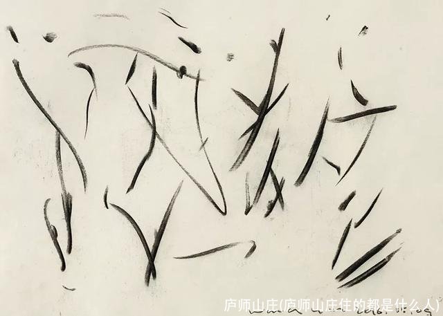 庐师山庄(庐师山庄住的都是什么人)