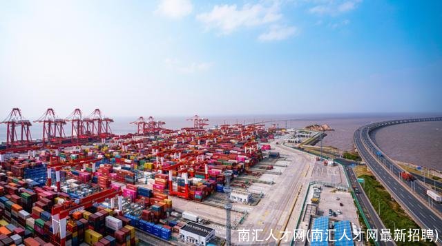 南汇人才网(南汇人才网最新招聘)