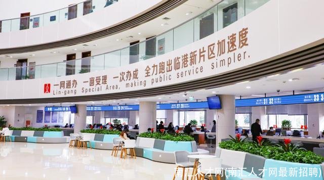 南汇人才网(南汇人才网最新招聘)