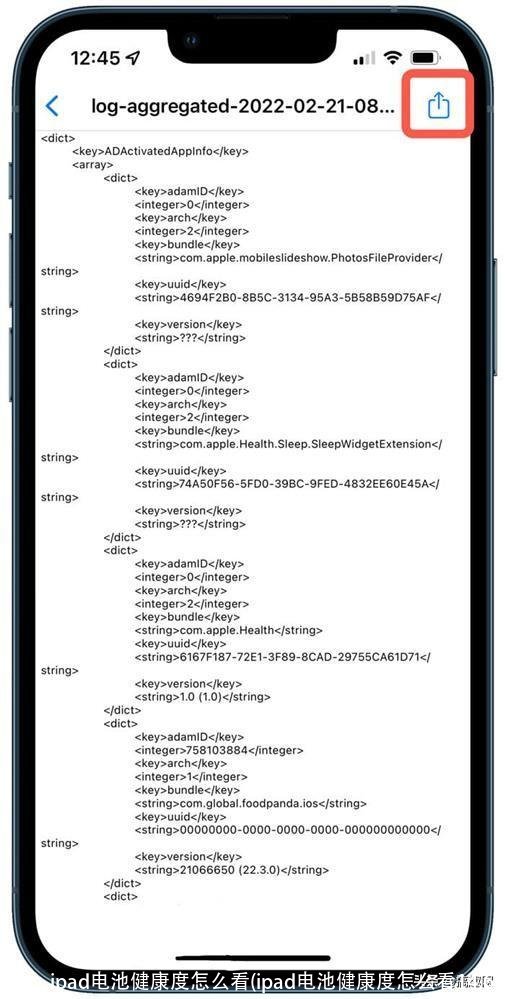 ipad电池健康度怎么看(ipad电池健康度怎么看14.6)