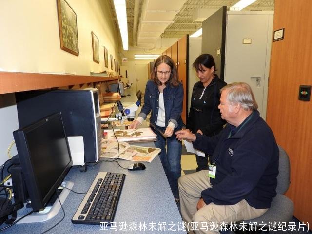 亚马逊森林未解之谜(亚马逊森林未解之谜纪录片)