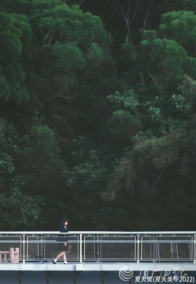 夏天美(夏天美甲2022)