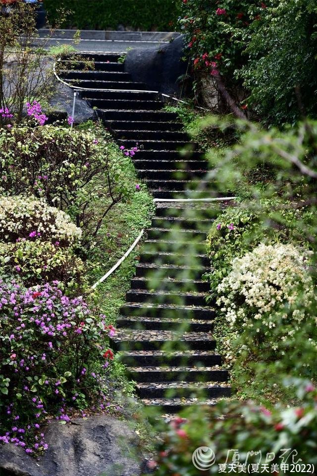 夏天美(夏天美甲2022)