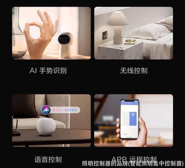照明控制器的品牌(智能照明集中控制器)