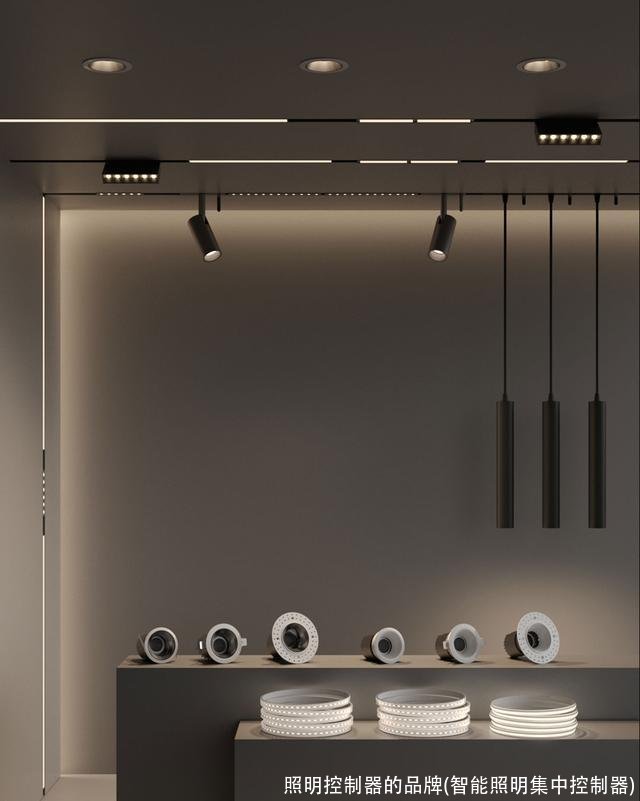照明控制器的品牌(智能照明集中控制器)