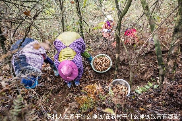 农村人在家干什么挣钱(在农村干什么挣钱致富有哪些)