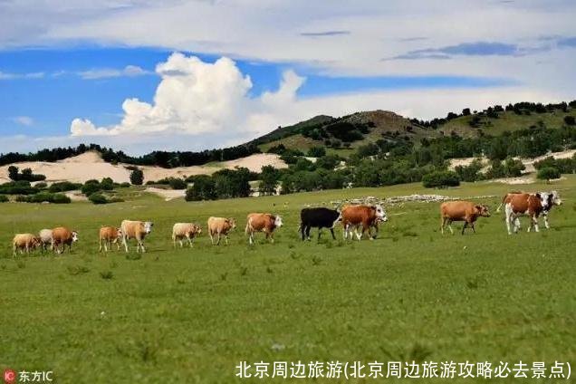 北京周边旅游(北京周边旅游攻略必去景点)