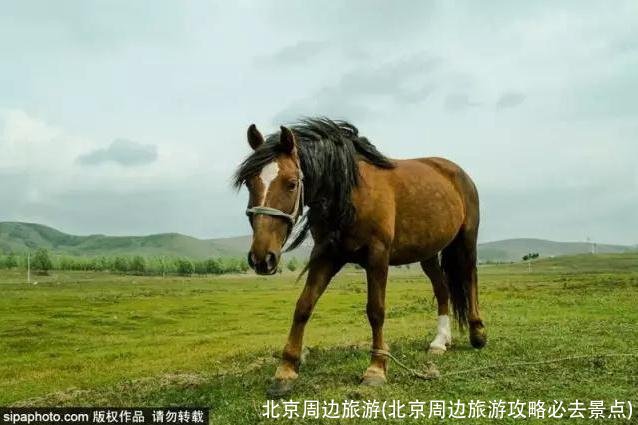 北京周边旅游(北京周边旅游攻略必去景点)