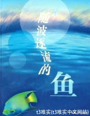 t3唯实(t3唯实中文网站)