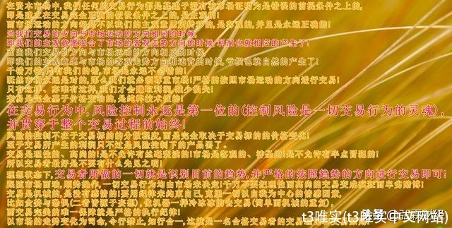 t3唯实(t3唯实中文网站)