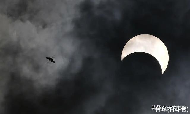日环(日环食)