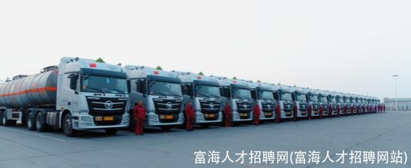 富海人才招聘网(富海人才招聘网站)