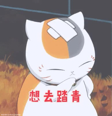 厦门户外(厦门户外露营的地方)