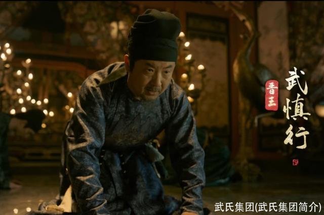 武氏集团(武氏集团简介)