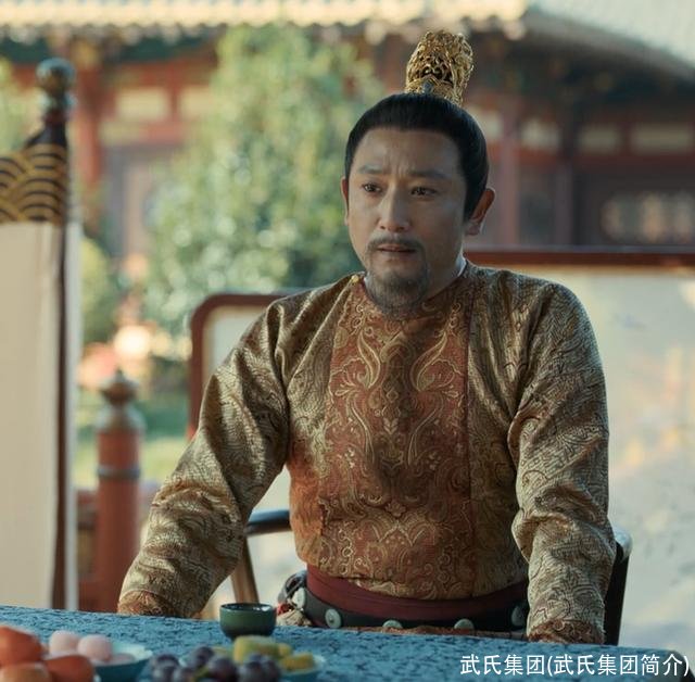 武氏集团(武氏集团简介)