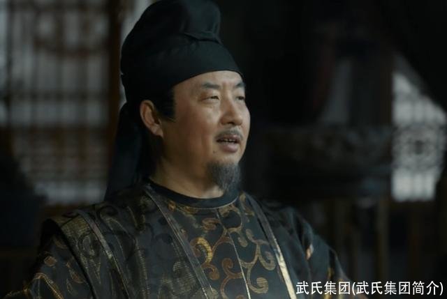 武氏集团(武氏集团简介)