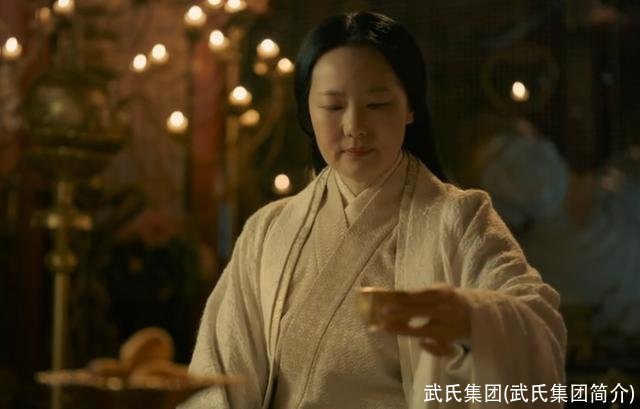 武氏集团(武氏集团简介)