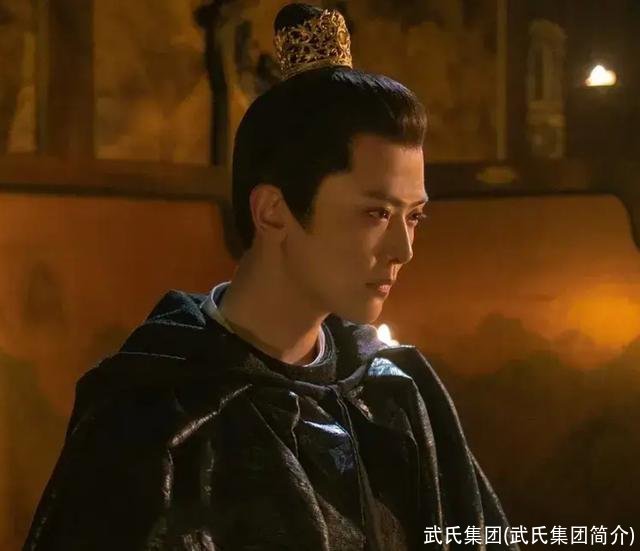 武氏集团(武氏集团简介)