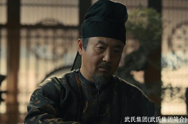 武氏集团(武氏集团简介)