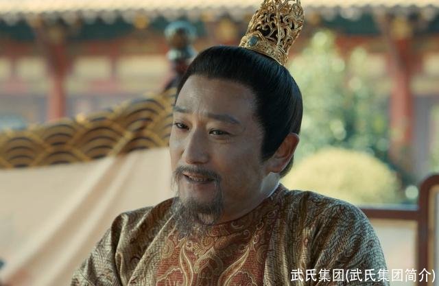 武氏集团(武氏集团简介)