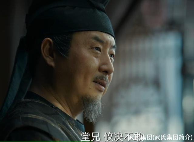 武氏集团(武氏集团简介)